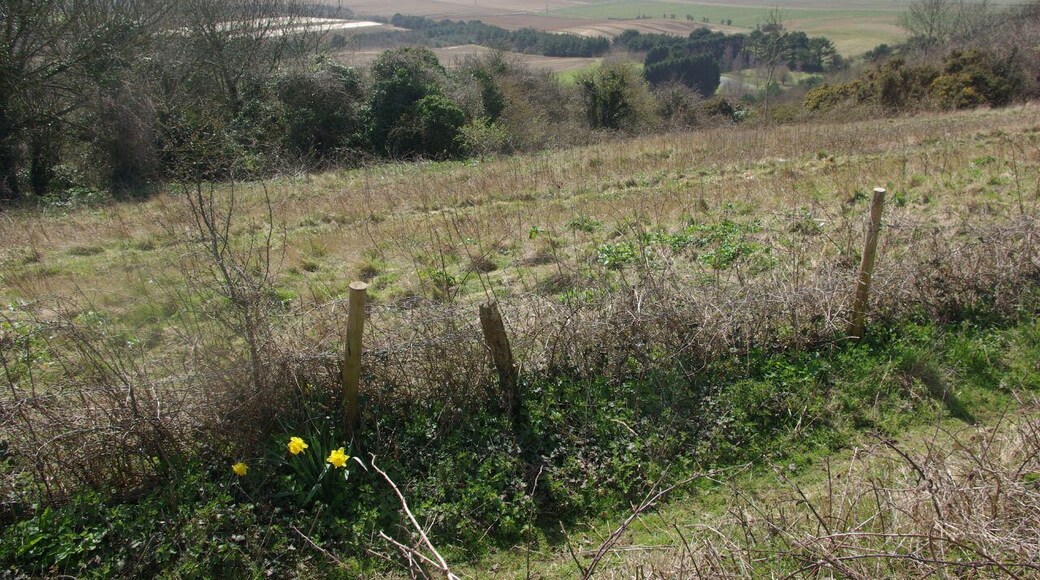 Mersley Down From the Newport - Brading road there is a view from the high point of Mersley Down across the Yar valley to the downs of south Wight.