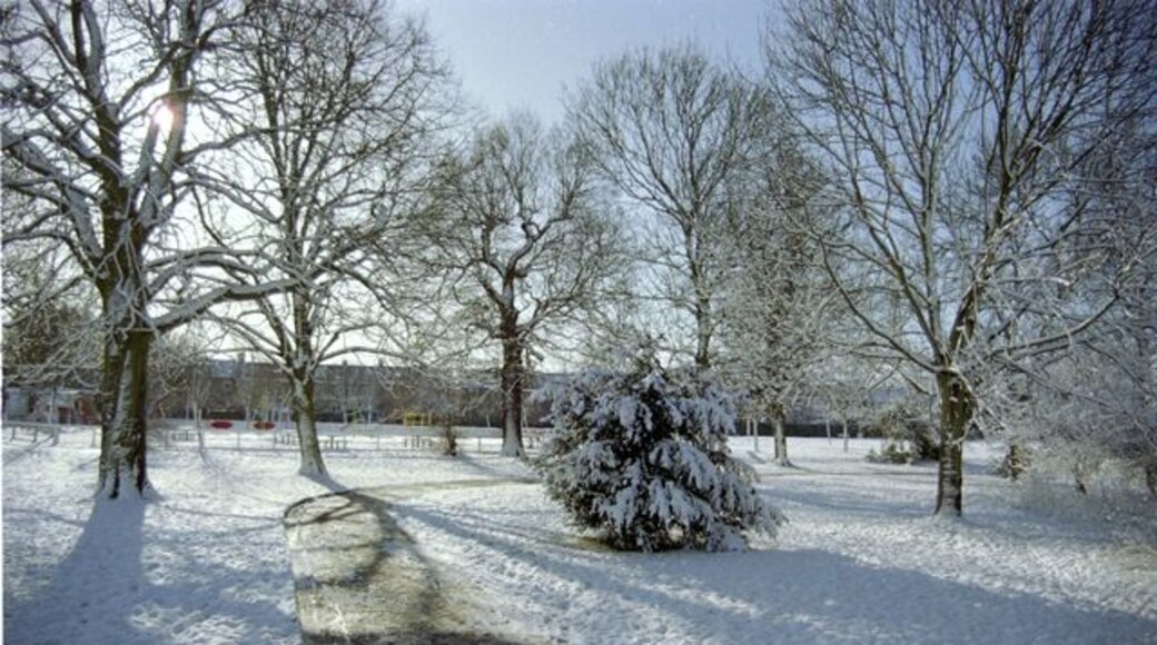 Pitshanger Park, Ealing. Taken from the northern edge of the park looking south towards the children's playground. The River Brent is behind and to the right.