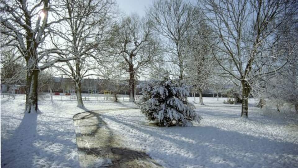 Pitshanger Park, Ealing. Taken from the northern edge of the park looking south towards the children's playground. The River Brent is behind and to the right.