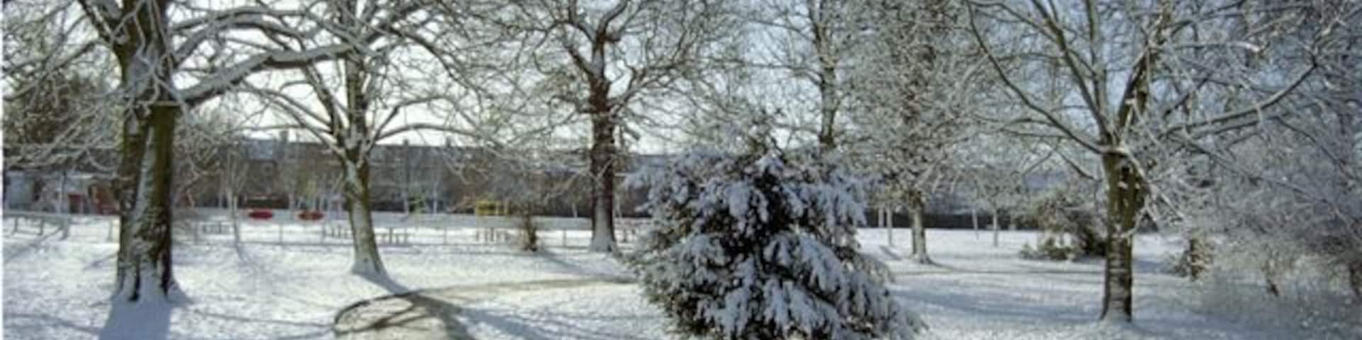 Pitshanger Park, Ealing. Taken from the northern edge of the park looking south towards the children's playground. The River Brent is behind and to the right.