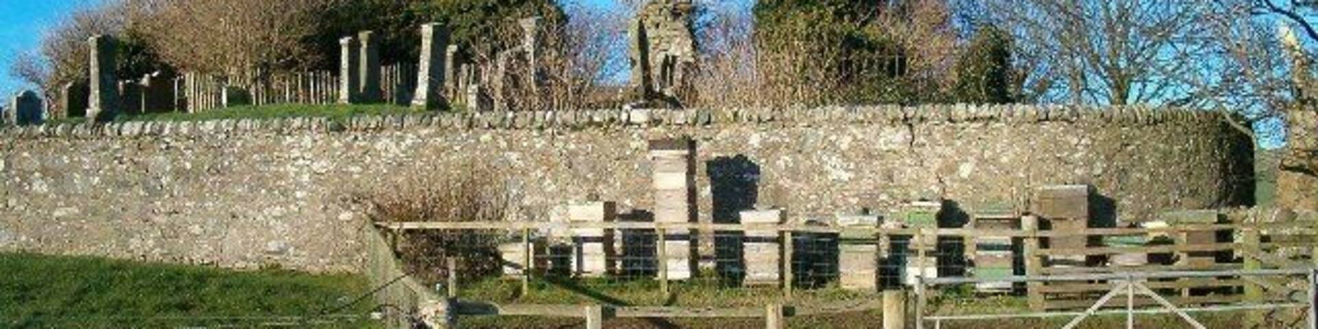 Church Ruins and Beehives.