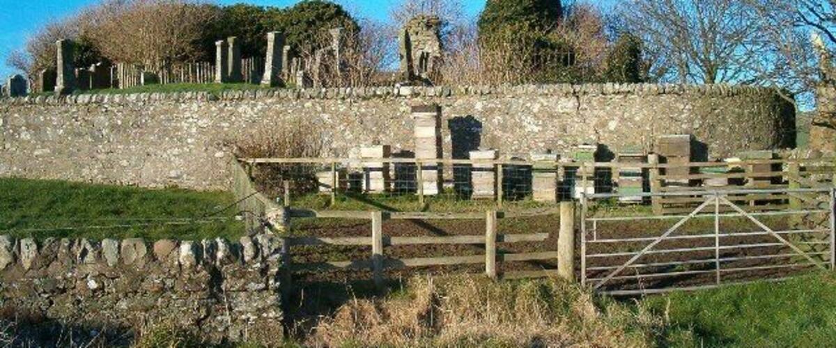 A stone wall with a wooden gate, a stone structure in the background, and a clear blue sky.