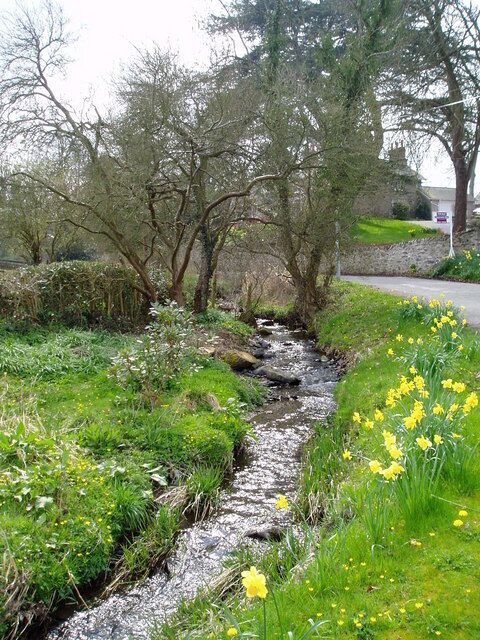 A narrow stream with yellow flowers, surrounded by greenery and trees.