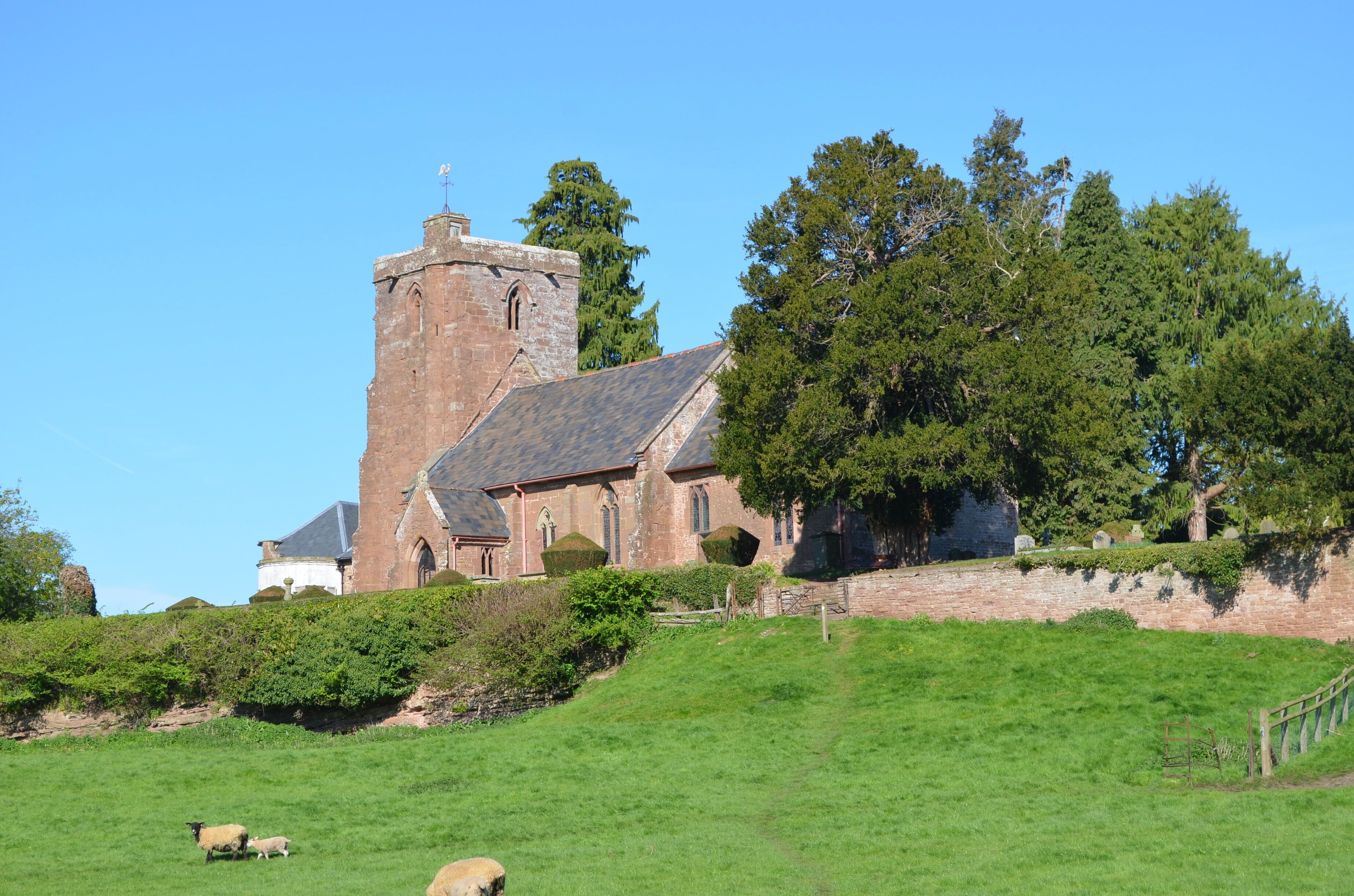 A church with a tall tower, surrounded by greenery and a grassy field.
