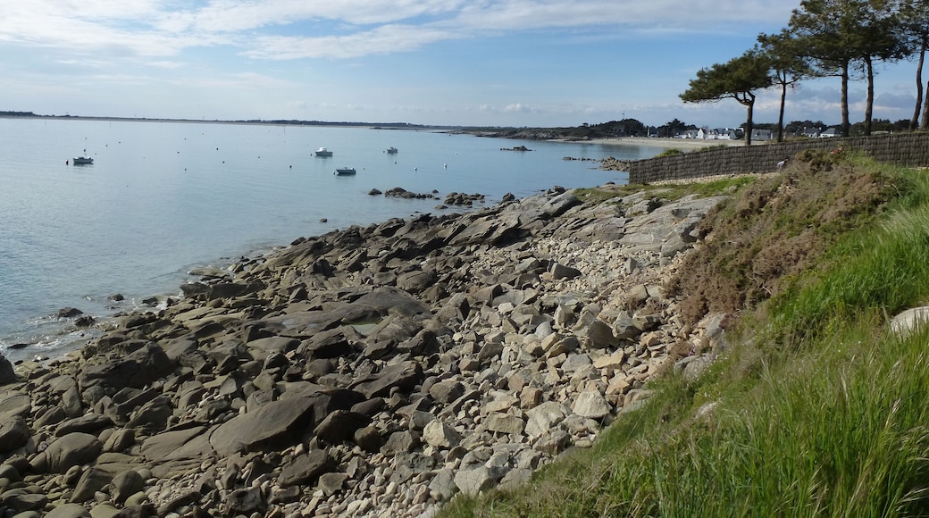 la cote a carnac