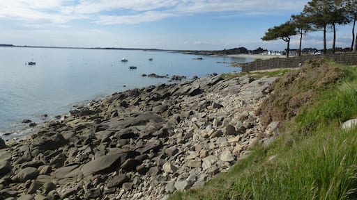 la cote a carnac