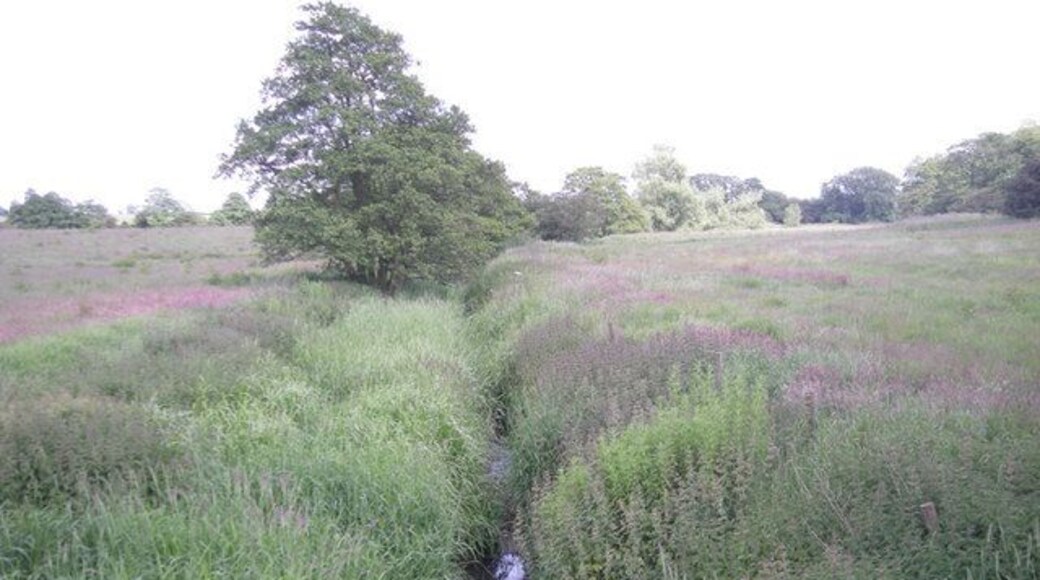 Church Eaton Brook at Mitton