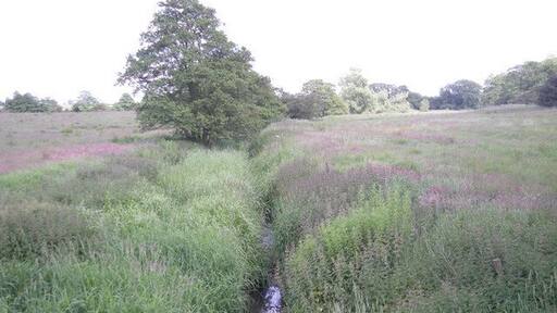 Church Eaton Brook at Mitton