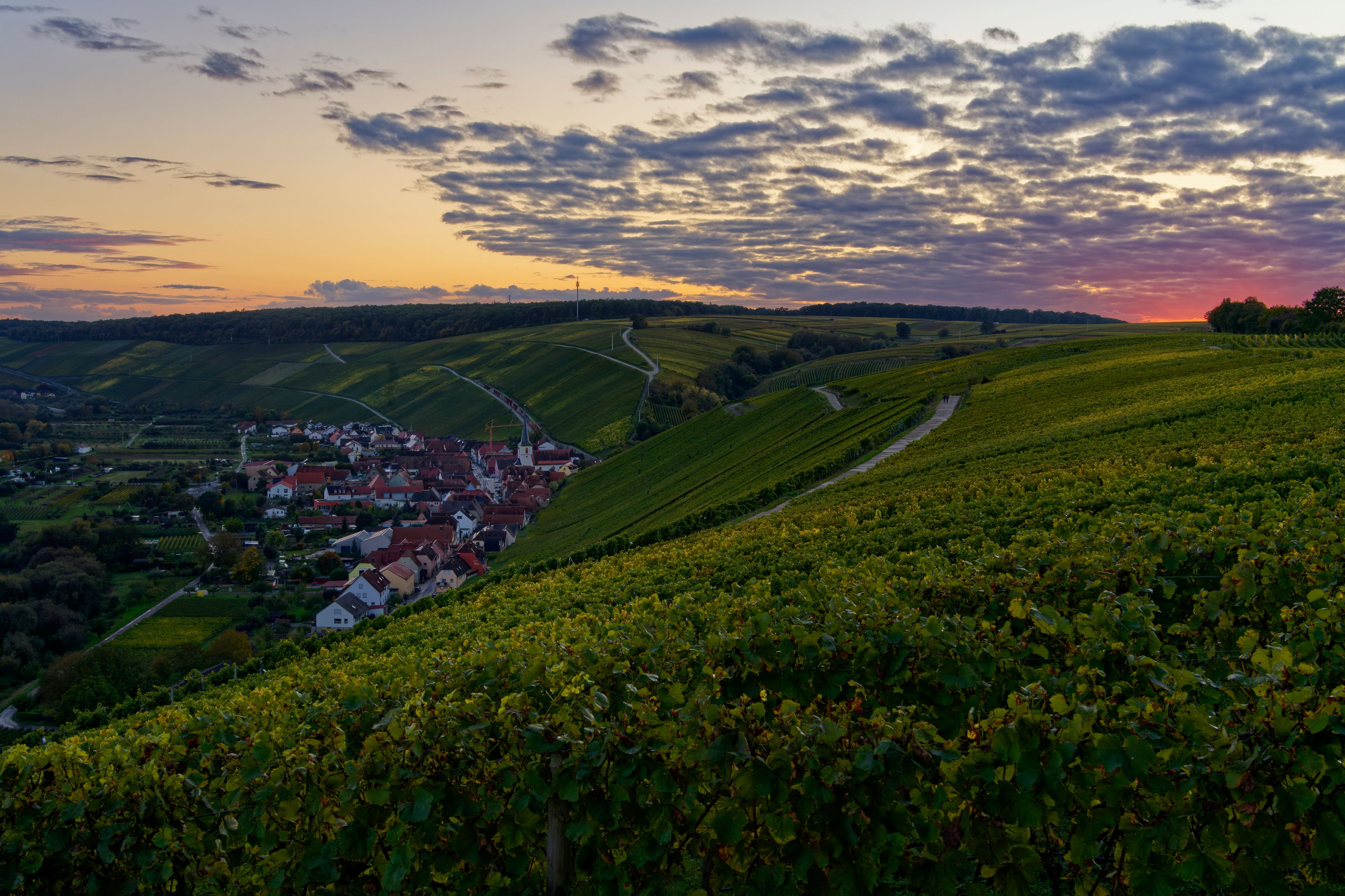Escherndorf
