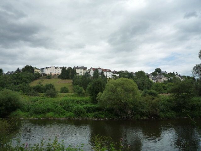 A river with buildings on a hill and dense greenery in the foreground.