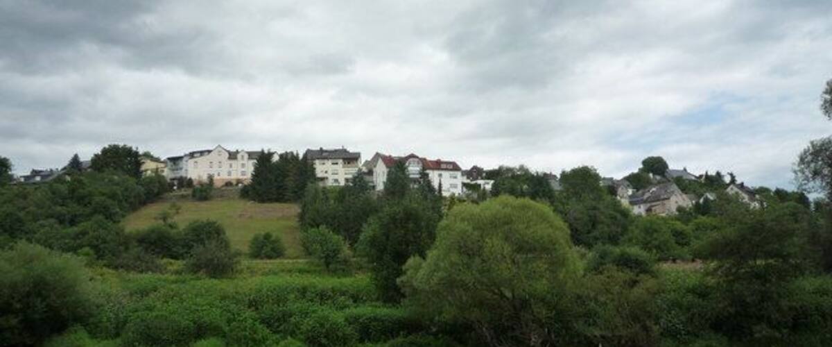A river with buildings on a hill and dense greenery in the foreground.