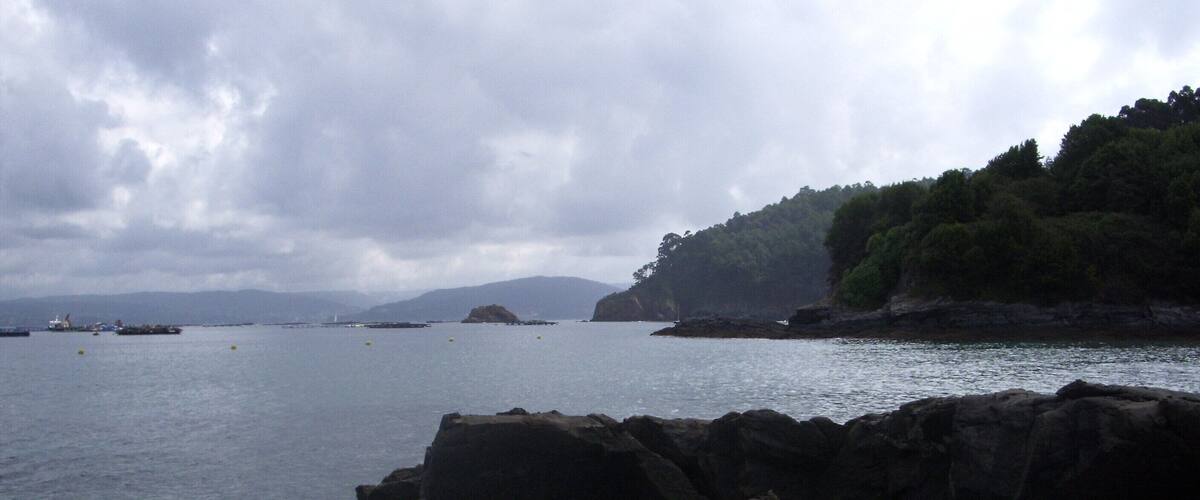A coastal landscape with large rocks in the foreground, calm water, and a forested hill in the background.