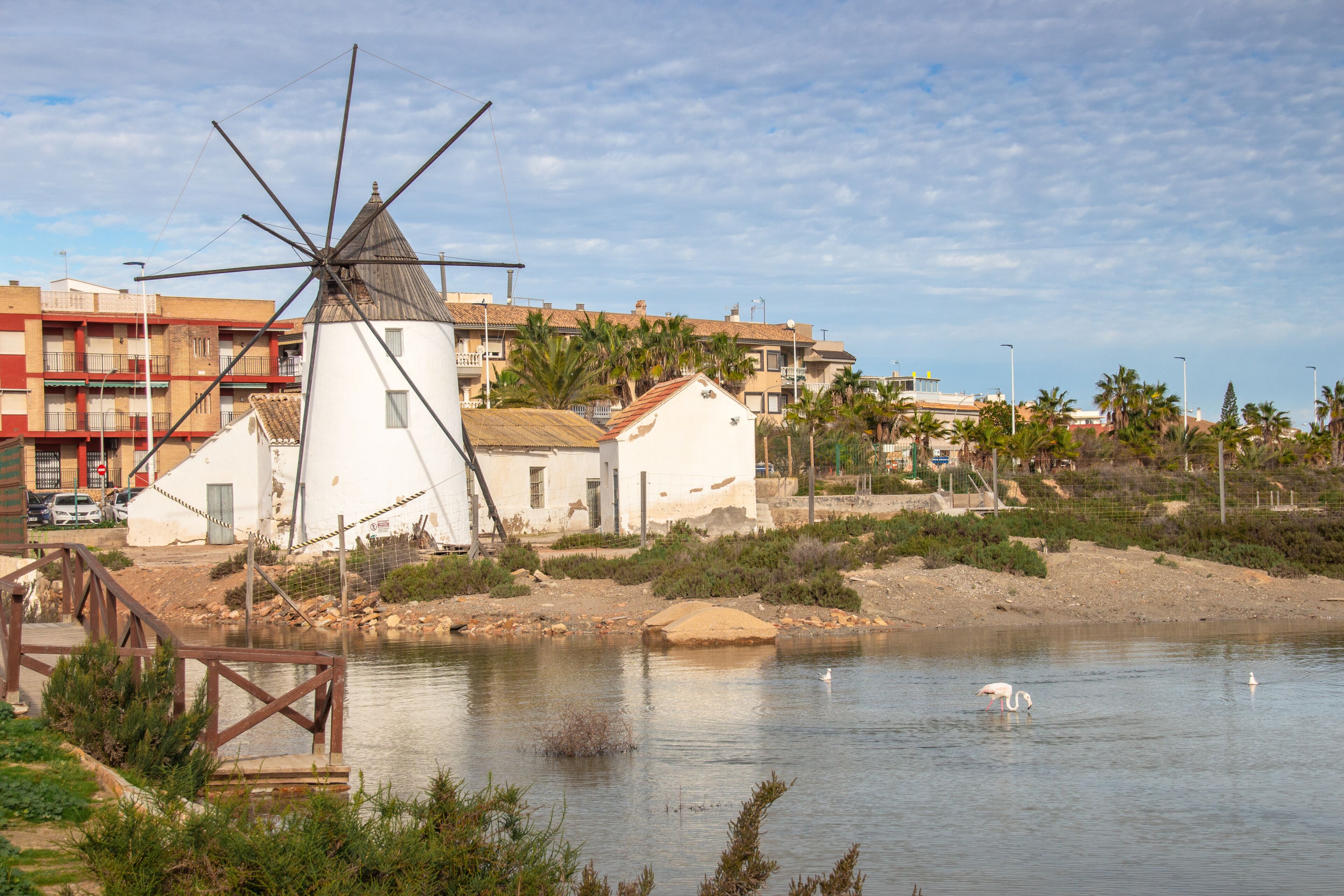 Murcia - San Pedro del Pinatar: sus salinas, playa y espacio natural.