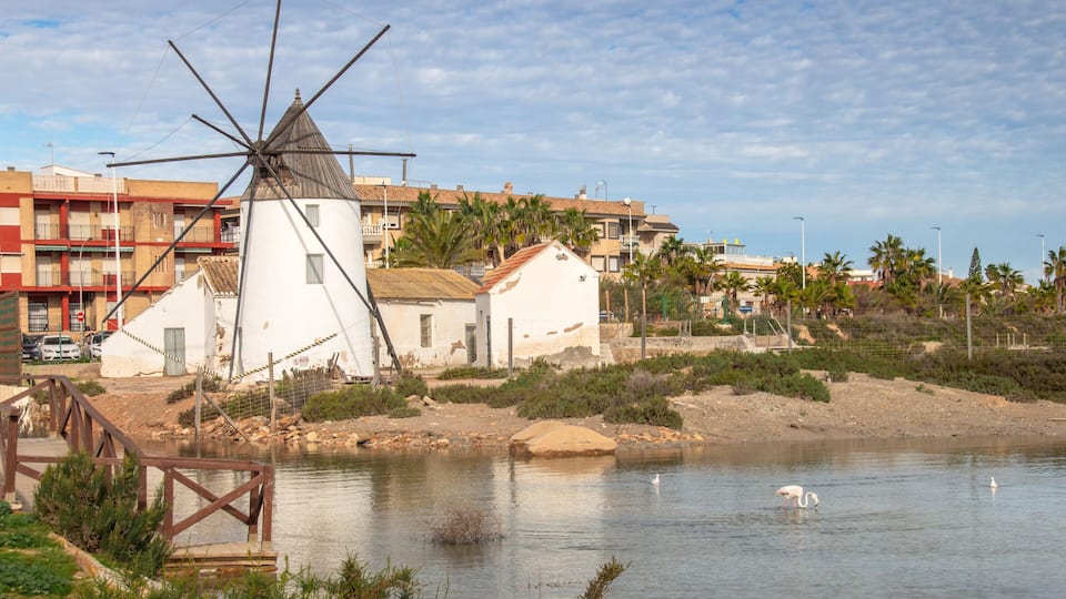 Murcia - San Pedro del Pinatar: sus salinas, playa y espacio natural.