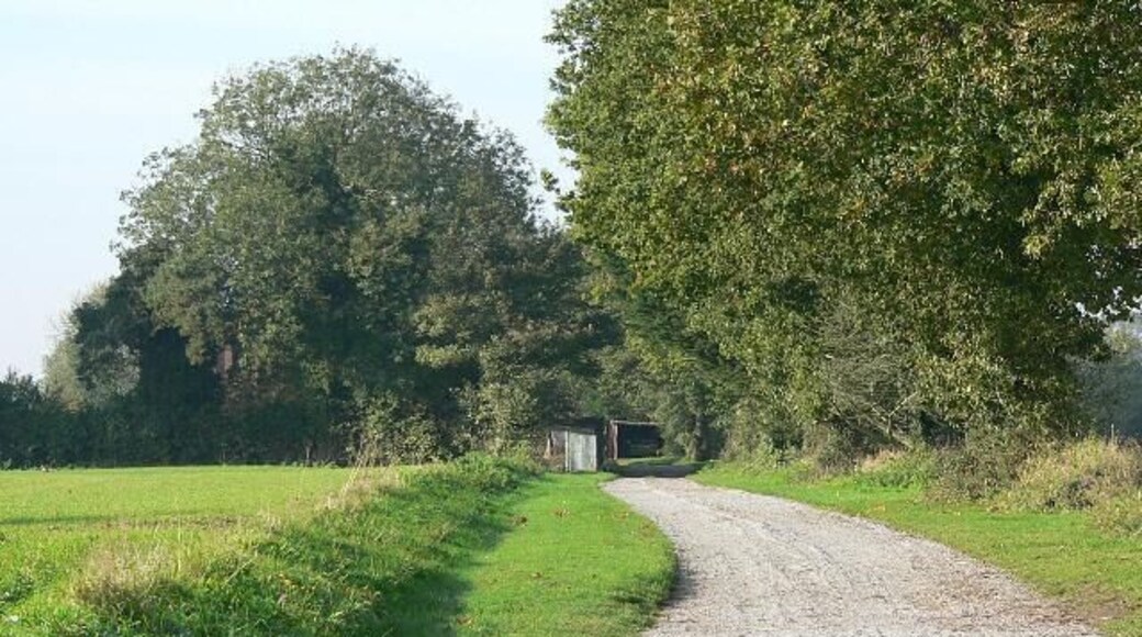 The Drive To Old Moor Farm Between Mattishall and Etling Green.