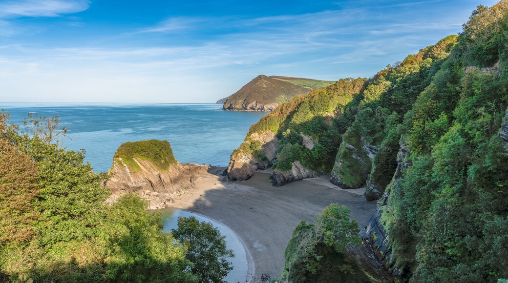 Un paisaje costero con una playa arenosa, acantilados y abundante vegetación.