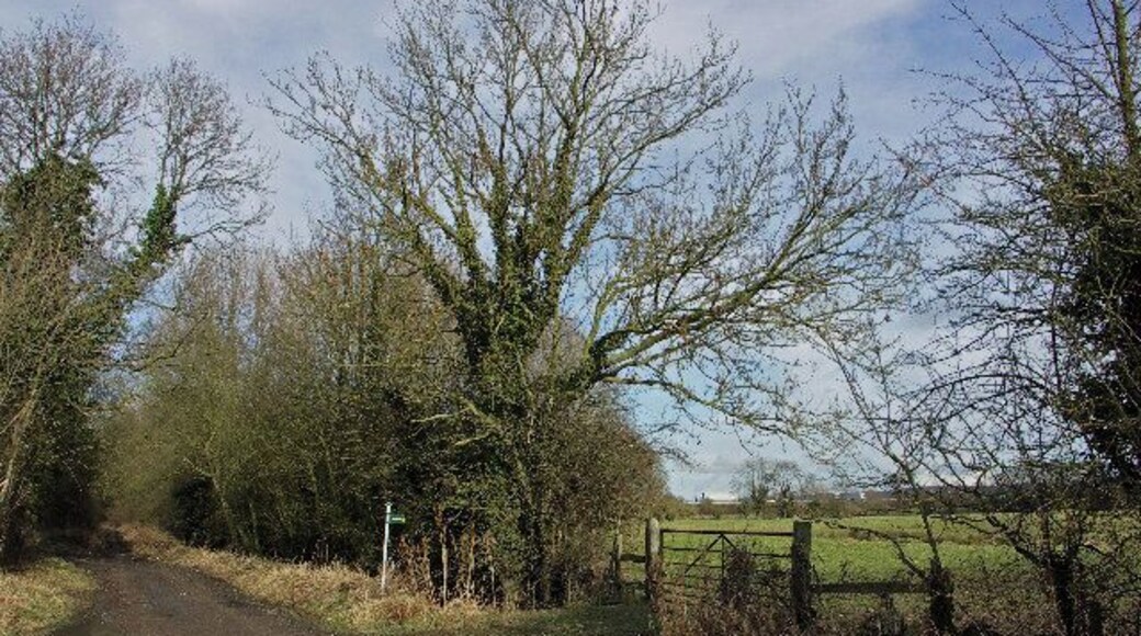 Nethercote Lane, Lewknor. The Lane follows the line of the Lower Icknield Way, an ancient track that later became part of the Roman Icknield Way. A more recent track, the M40 motorway, can be seen across the field to the northeast.