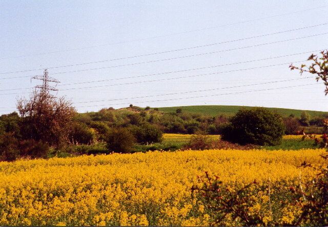 Knop Law. Looking over fields towards Knop Law.