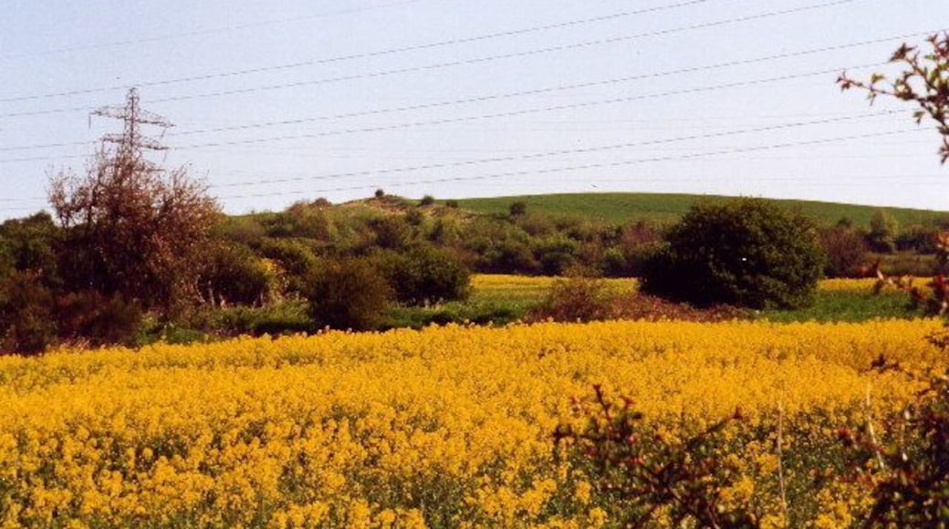 Knop Law. Looking over fields towards Knop Law.