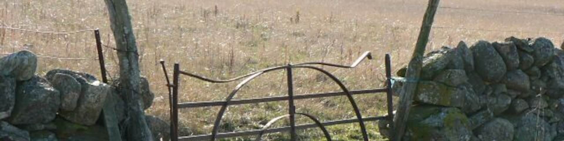 Iron field gate I liked this elegant gate into a field. Similar ones have been used all along the track NE of Dalnagairn. Like this one most of them have suffered damage over the years.