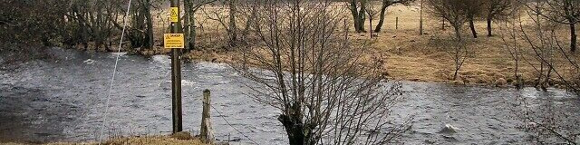 A flooded river with a utility pole and bare trees in a rural landscape.