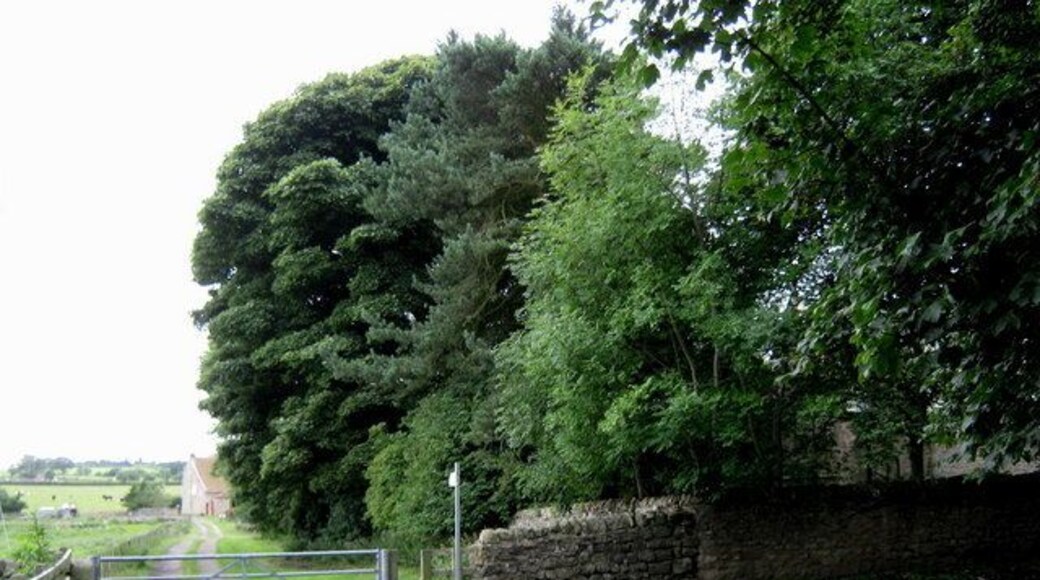 Public footpath Cockfield Leading southwards from the eastern end of the village in County Durham.
