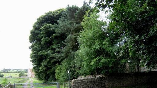 Public footpath Cockfield Leading southwards from the eastern end of the village in County Durham.