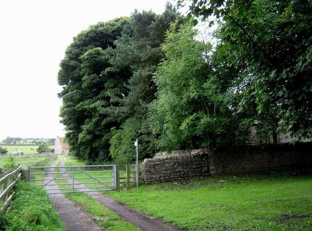 A rural path with a stone wall and a metal gate, surrounded by lush greenery and trees.