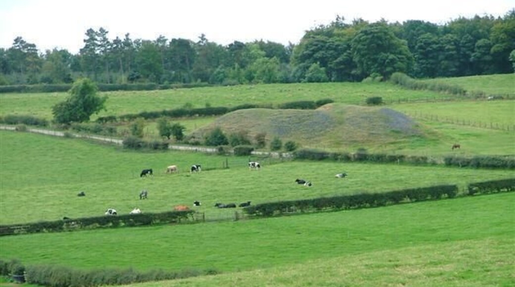Coal Mine Spoil Tip. One of the many spoil tips which litter this area. Probably Holy Moor Colliery although this tip might be earlier.