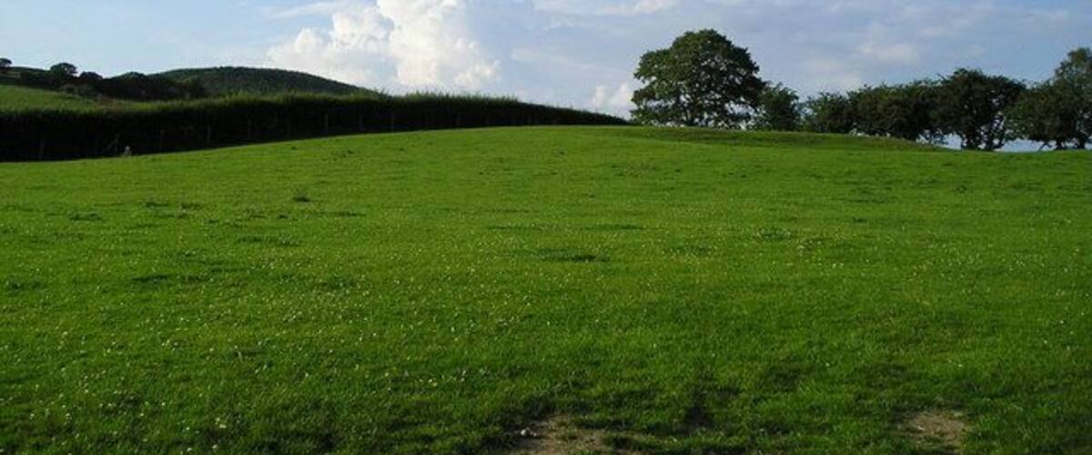 Storm Clouds Gather I took this photograph of a rural upland scene because of the dramatic cumulonimbus cloud developing to the north, perhaps producing a downpour somewhere near Aberystwyth.