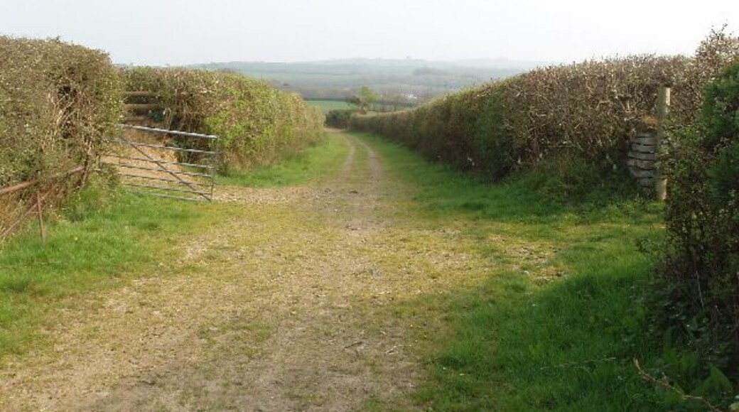 Farm track to Knowle View into Devon from road which is the county boundary with Cornwall.