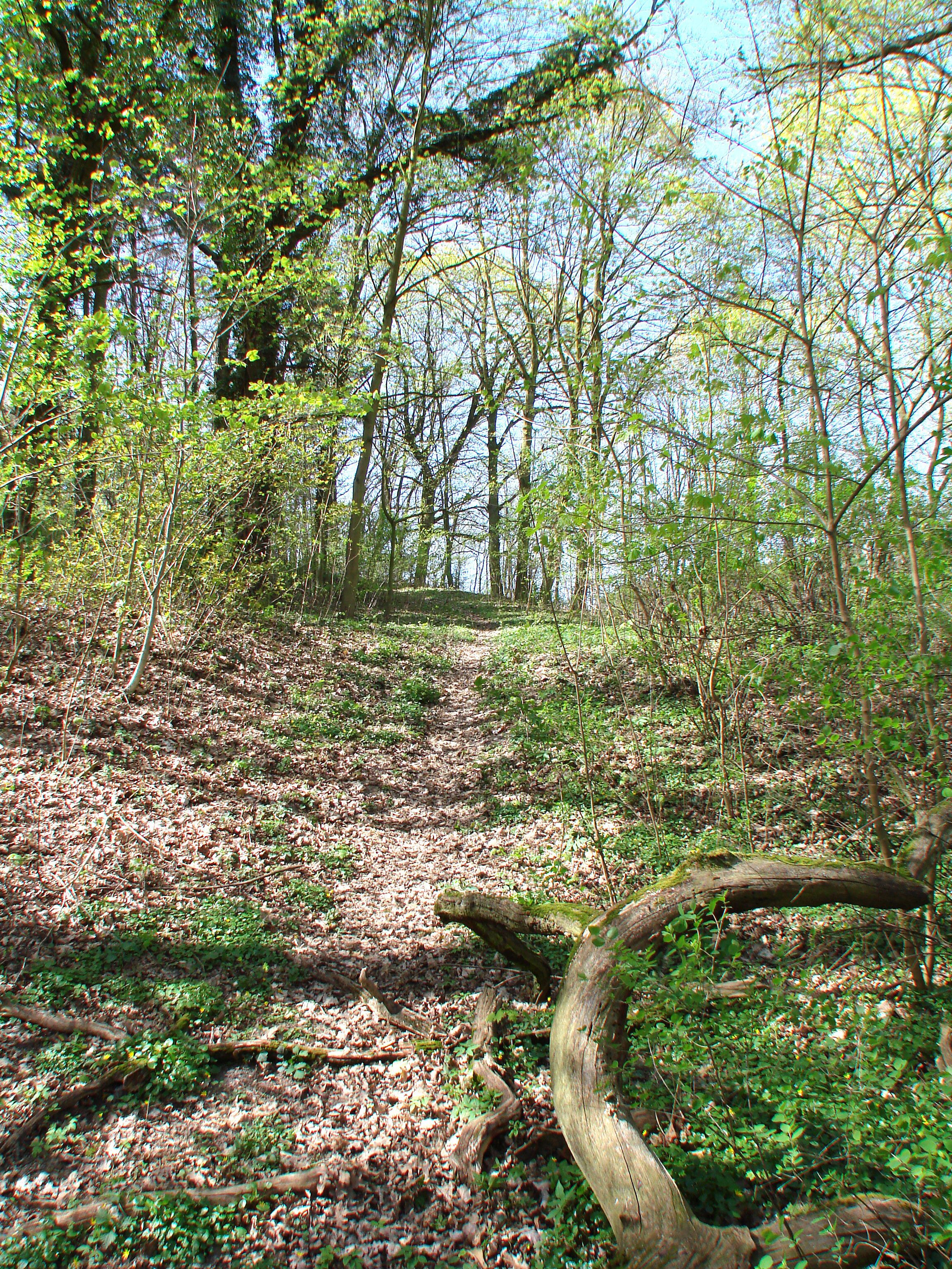 Wulkow bei Trebnitz Gutspark und Umgebung