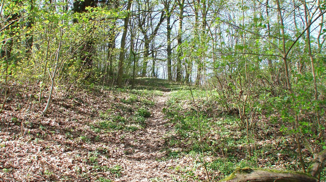 Wulkow bei Trebnitz Gutspark und Umgebung