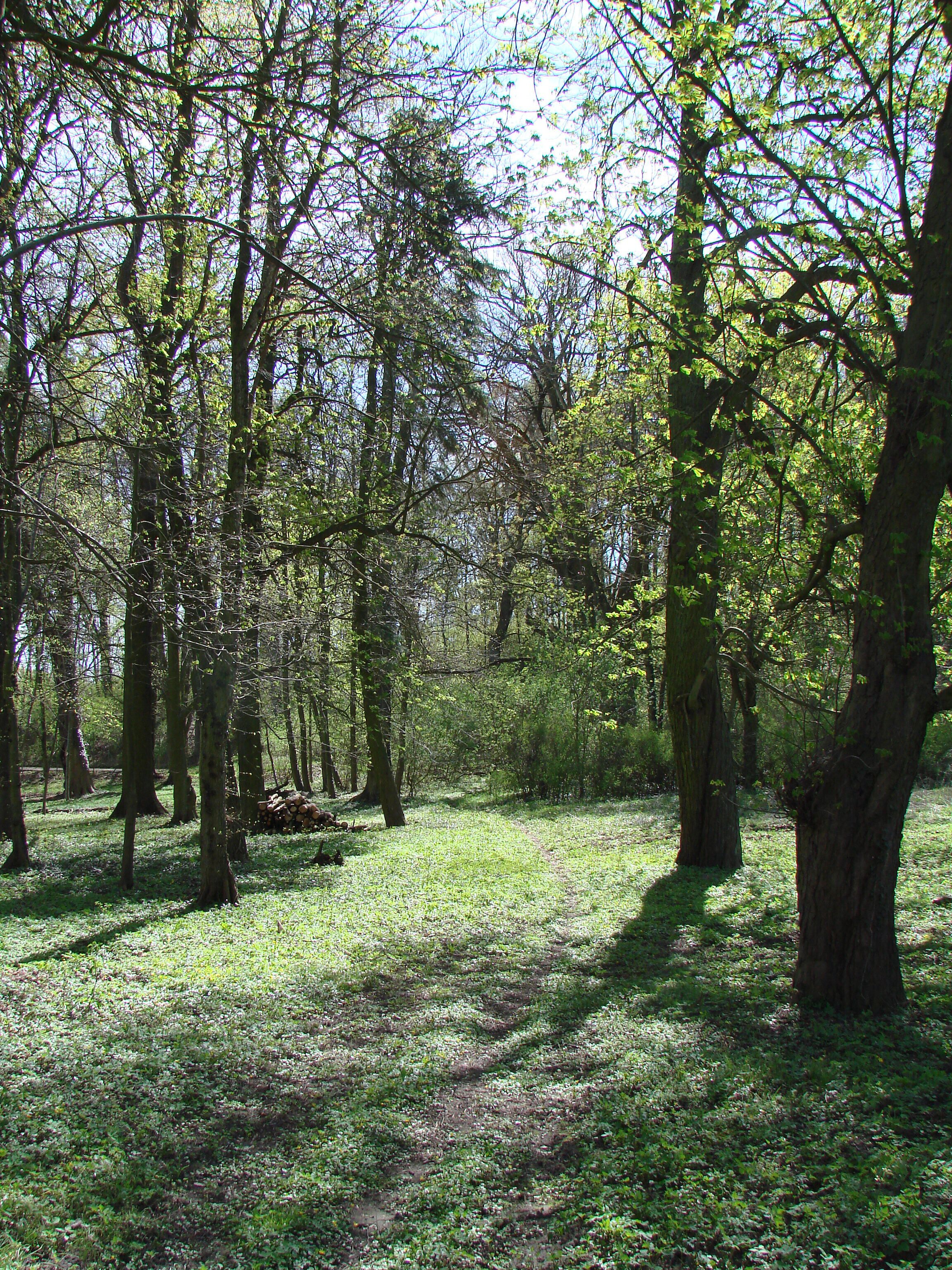 Wulkow bei Trebnitz Gutspark und Umgebung