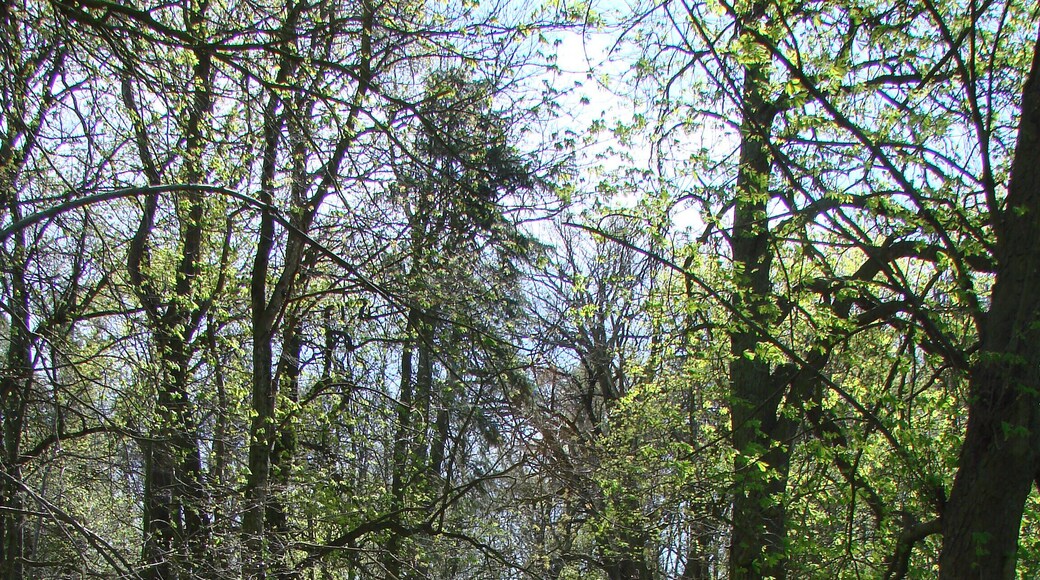 Wulkow bei Trebnitz Gutspark und Umgebung