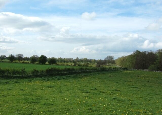 Loynton Moss Looking along the edge of the Staffordshire Wildlife Trust's reserve from the car park.