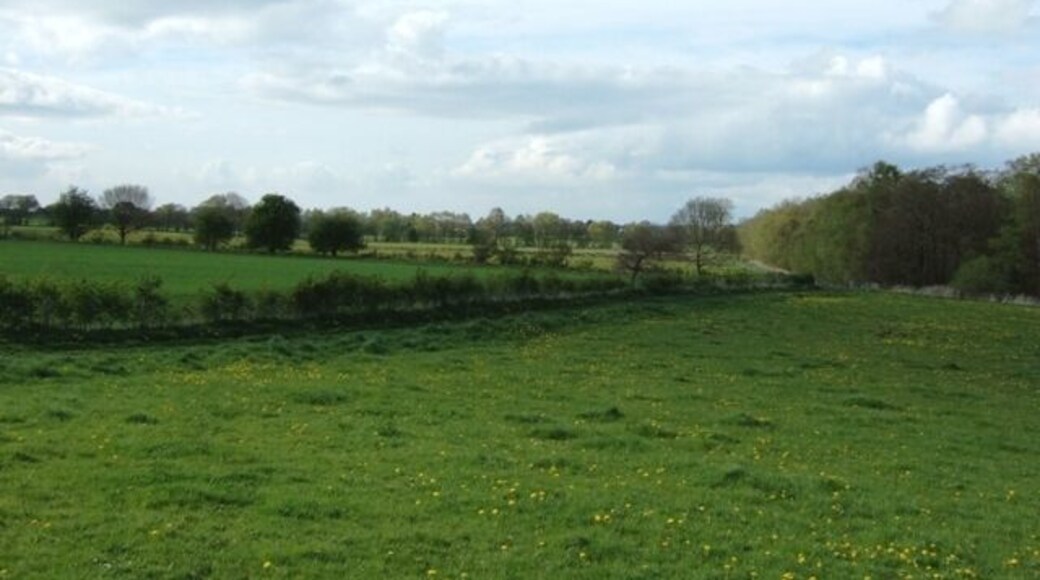 Loynton Moss Looking along the edge of the Staffordshire Wildlife Trust's reserve from the car park.