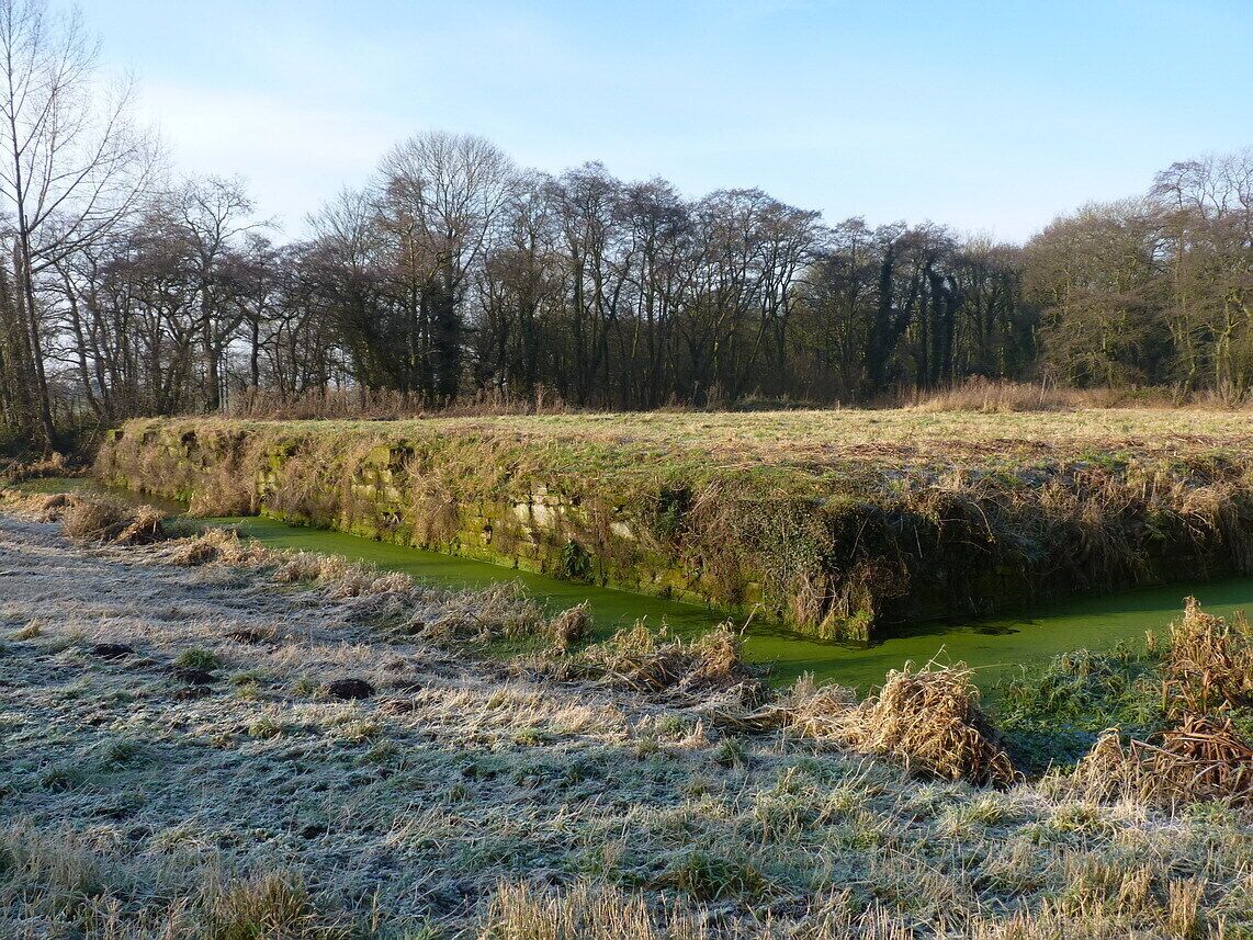 A frost-covered field with a green water channel and leafless trees in the background.