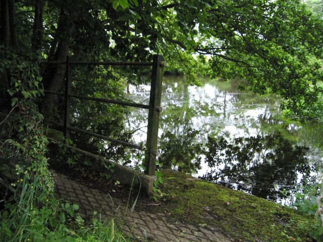 July at Hardwick pond
