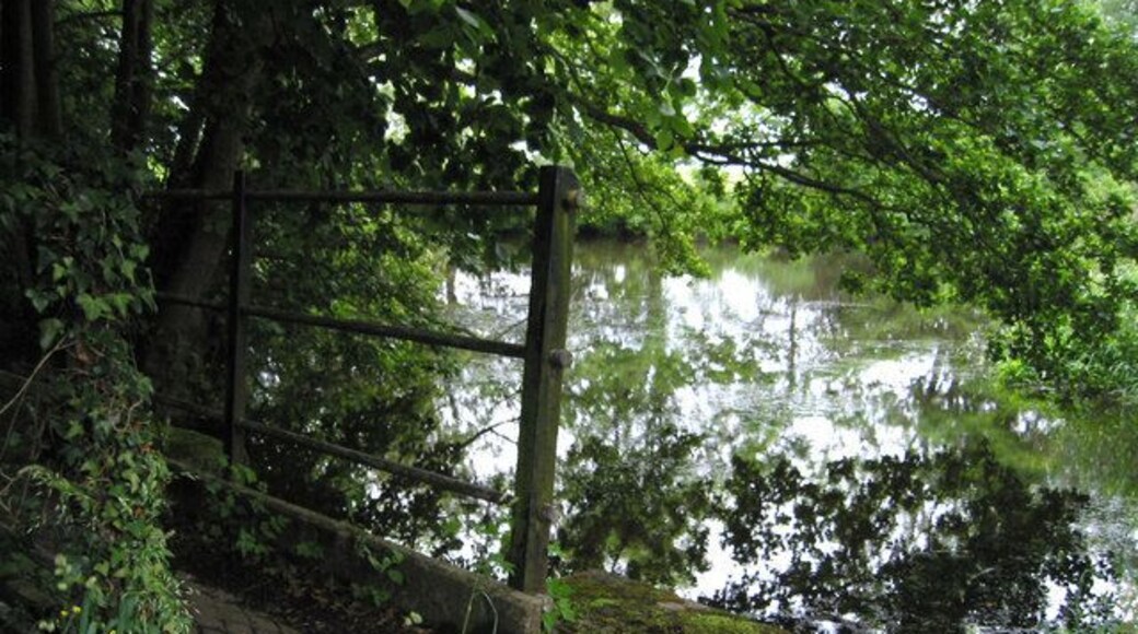 July at Hardwick pond