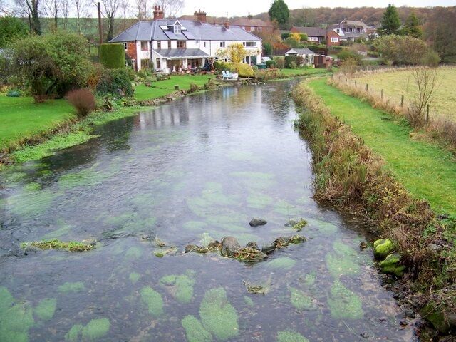 River Kennet near Mildenhall Looking downstream past river side properties. The path on the right is for fishing club members only.