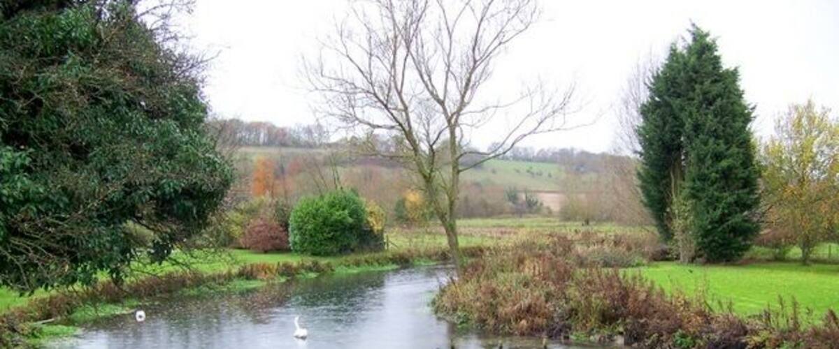 A calm river with a swan, surrounded by greenery and trees.