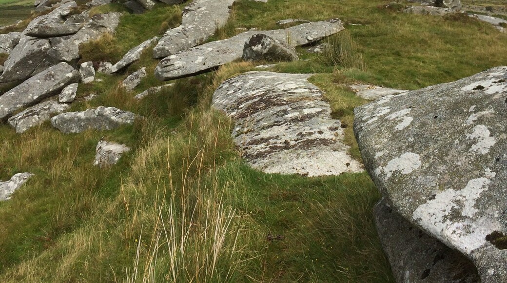 This is Kilmar Tor on Bodmin Moor, I walked from Minnions over the Cheese Ring, then on to Sharp Tor and on to Kilmar Tor. Took me about 4/1/2 hours, but I am in my 70's may be the young go faster.