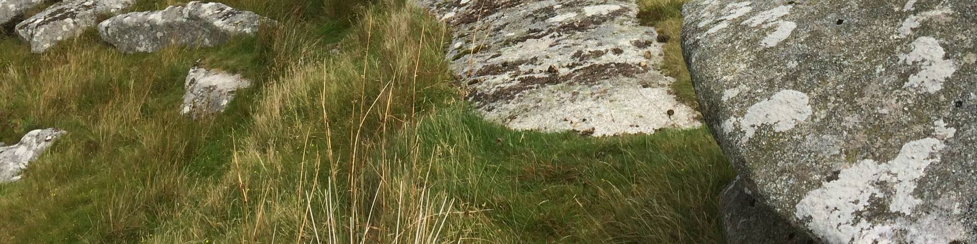 This is Kilmar Tor on Bodmin Moor, I walked from Minnions over the Cheese Ring, then on to Sharp Tor and on to Kilmar Tor. Took me about 4/1/2 hours, but I am in my 70's may be the young go faster.