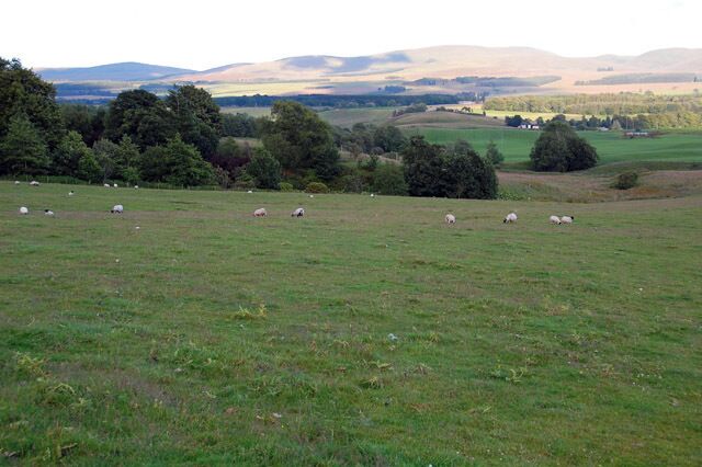 Field on the Cromlix Estate Looking south from a farm road on the Cromlix Estate. The Ochil hills in the background.
