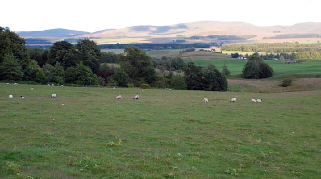 Field on the Cromlix Estate Looking south from a farm road on the Cromlix Estate. The Ochil hills in the background.