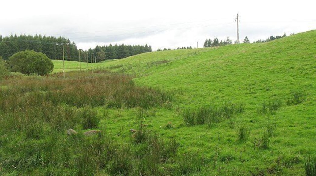 A wet hollow, Cromlix Home Farm Grassland being grazed by ponies. The burnside area is very wet.