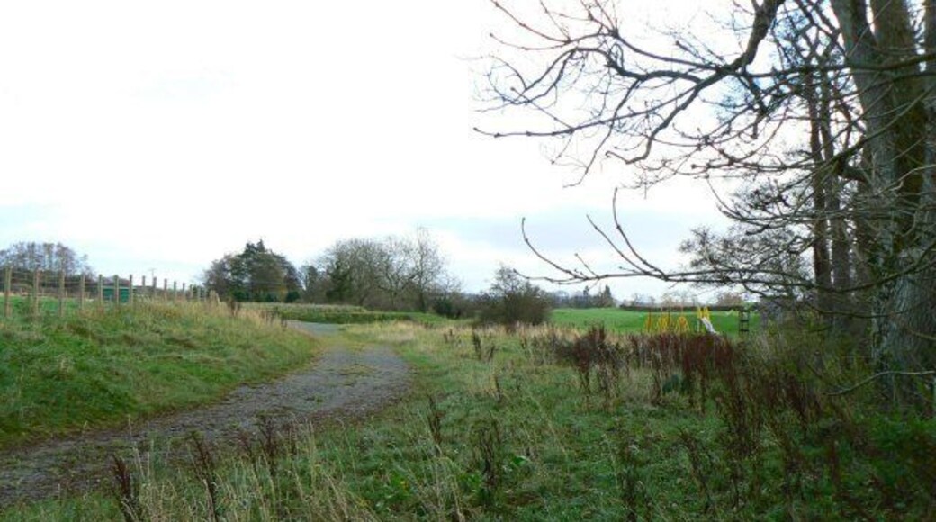 Track near Terregles Looking east from near Terregles church.