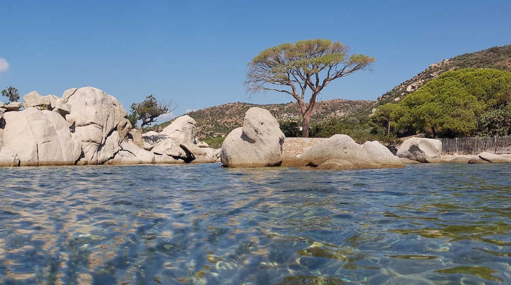 Panoramique de Punta di Colombara vue de la mer