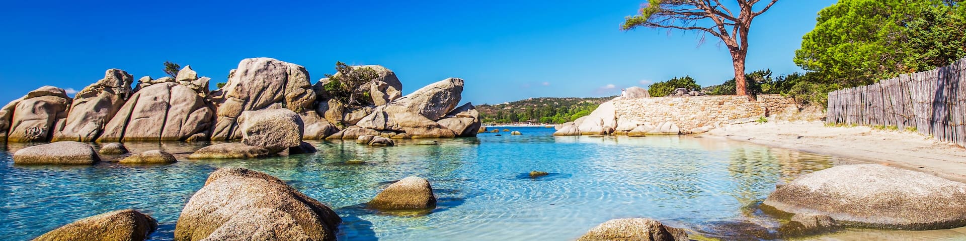 Famous pine tree and the lagoon on the Palombaggia beach, Corsica, France, Europe.